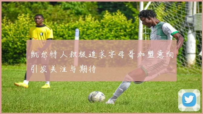 凯尔特人积极追求字母哥加盟意向引发关注与期待