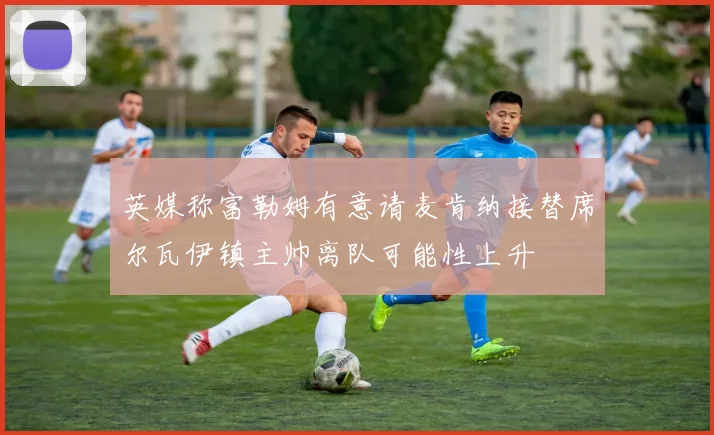 英媒称富勒姆有意请麦肯纳接替席尔瓦伊镇主帅离队可能性上升